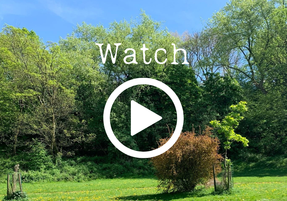 vid cover